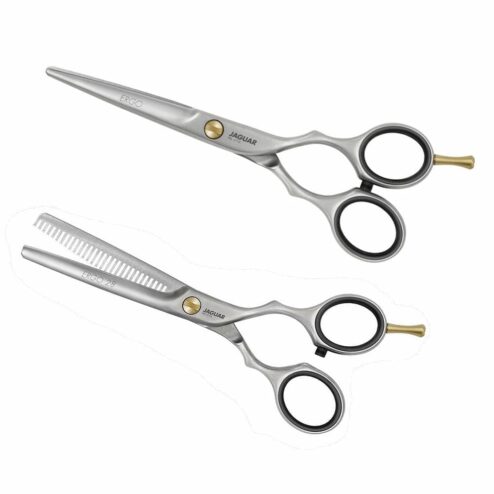 JAGUAR Prestyle Ergo Hairdressing Scissors Kit