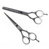 KIEPE Picasso Series Future 5.5 Inch Scissor Set