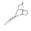 Kasho Blue Series straight Scissor