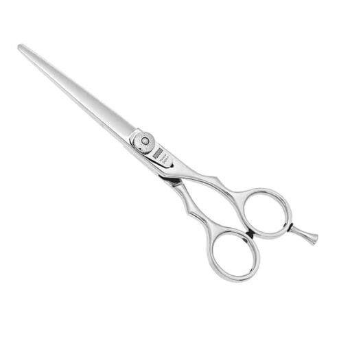 PASSION Levelset Hairdressing Scissors