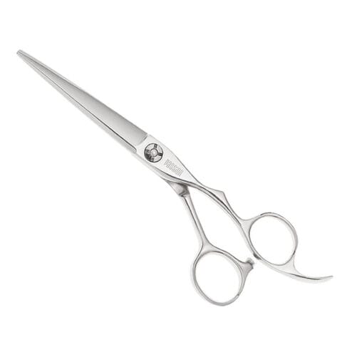PASSION Zeta Hairdressing Scissors