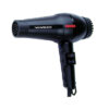 Parlux Twin Turbo 2600 Black Hairdryer