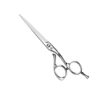AMA Jian Hairdressing Scissor
