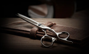 Hairdressing Scissors