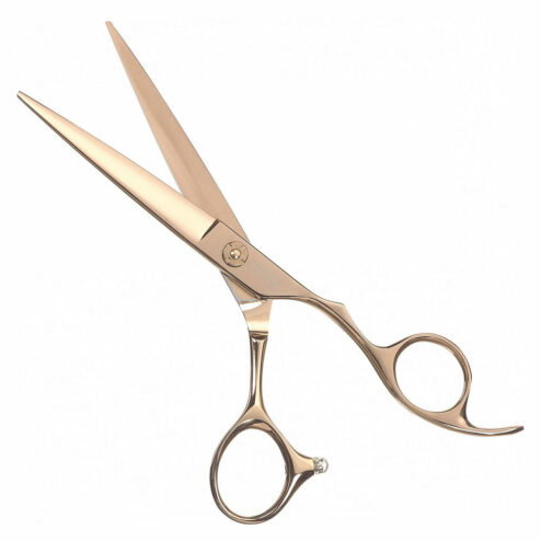 CISORIA Rgoe Hairdressing Scissors