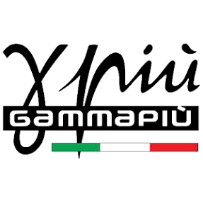 Gamma Piu Hair Dryers Straigteners